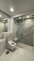 The Scotts Tower (D9), Condominium #437456091